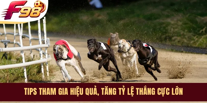 Tips tham gia hiệu quả, tăng tỷ lệ thắng cực lớn